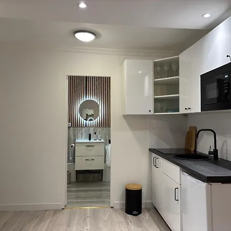 T2 4 Pers Renove Au Coeur Du Centre Historique Place De La Liberation Appartamento