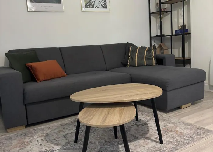 T2 4 Pers Renove Au Coeur Du Centre Historique Place De La Liberation Appartamento