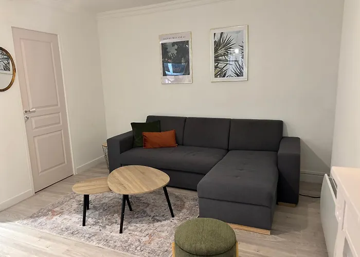 Appartamento T2 4 Pers Renove Au Coeur Du Centre Historique Place De La Liberation Digione