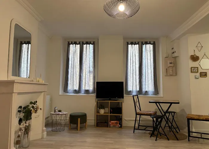 T2 4 Pers Renove Au Coeur Du Centre Historique Place De La Liberation Appartement