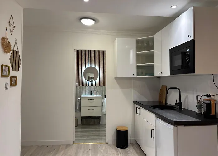 T2 4 Pers Renove Au Coeur Du Centre Historique Place De La Liberation Appartamento