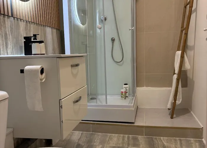 Appartamento T2 4 Pers Renove Au Coeur Du Centre Historique Place De La Liberation Digione